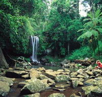 Tamborine National Park - Accommodation Tasmania