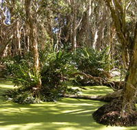 Arkarra Lagoons and Tea Gardens - Accommodation Tasmania