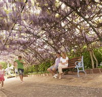 Laurel Bank Park - Accommodation Tasmania