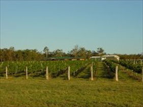 Kingsley Grove Estate - Accommodation Tasmania 0