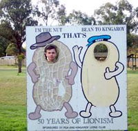 Kingaroy Lions Park - Accommodation Tasmania
