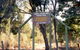 Carroll Nature Reserve Kokoda Track - thumb 0