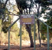 Carroll Nature Reserve Kokoda Track - Accommodation Tasmania