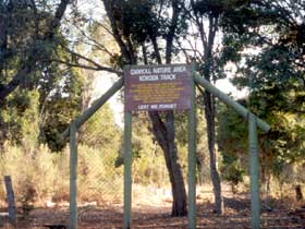 Carroll Nature Reserve Kokoda Track - Accommodation Tasmania 0