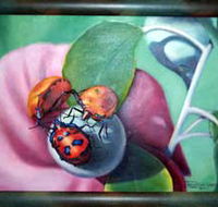 Kingaroy Shire Art Gallery - Accommodation Tasmania