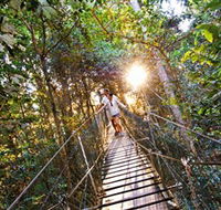 Tree Top Walkway - Accommodation Tasmania