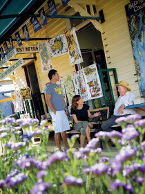 Alpha Petrified Wood - Accommodation Tasmania 0