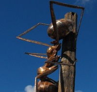 Augathella Meat Ant Park and Sculpture - Accommodation Tasmania