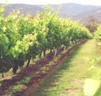 Girraween Estate - Accommodation Tasmania
