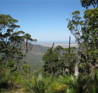 Zamia Walk - Accommodation Tasmania