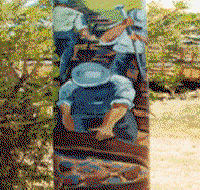 Alpha Murals - Accommodation Tasmania