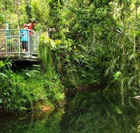 Djiru National Park - Accommodation Tasmania