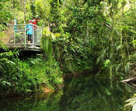 Djiru National Park - Accommodation Tasmania 0