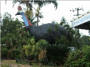  Accommodation Tasmania