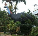 The Big Cassowary - Accommodation Tasmania