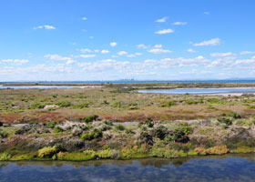 Point Cook Coastal Park - Accommodation Tasmania 0