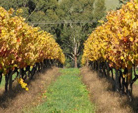 Wild Dog Winery & Restaurant - Accommodation Tasmania 0
