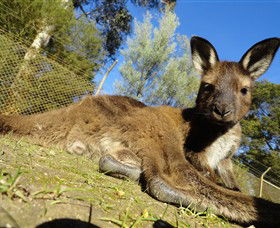  Accommodation Tasmania