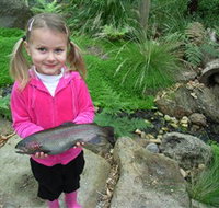 Wild Food Farm  Cafe - Accommodation Tasmania