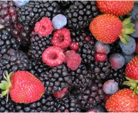 Gentle Annie Berry Gardens - Accommodation Tasmania 0