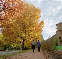 Indigo Gold Trail - Accommodation Tasmania