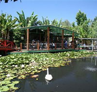 Blue Lotus Water Garden - Accommodation Tasmania