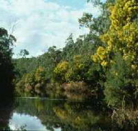 Warrandyte State Park - Accommodation Tasmania