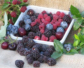 Porepunkah VIC Accommodation Tasmania