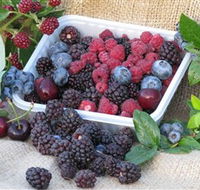 Bright Berry Farms - Accommodation Tasmania