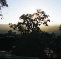 Yarra Flats - Accommodation Tasmania