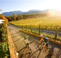 Boyntons Feathertop Winery - Accommodation Tasmania