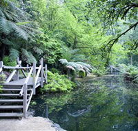 Alfred Nicholas Gardens - Accommodation Tasmania