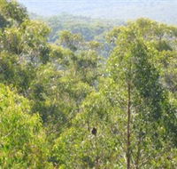 Bunyip State Park - Accommodation Tasmania