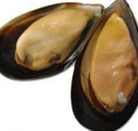 Sea Bounty - Accommodation Tasmania