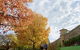 Beechworth Historic Park - thumb 0