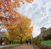 Beechworth Historic Park - Accommodation Tasmania