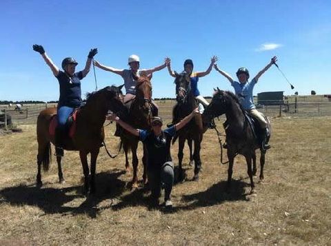 Saddle On Riding School - Accommodation Tasmania 1