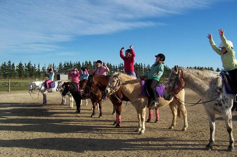 Saddle On Riding School - Accommodation Tasmania 3