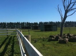 Saddle On Riding School - Accommodation Tasmania 6