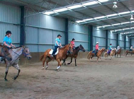 Saddle On Riding School - Accommodation Tasmania 7