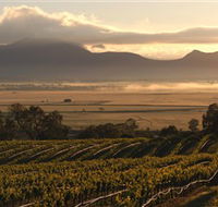 Montara Wines - Accommodation Tasmania