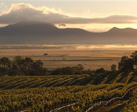 Montara Wines - Accommodation Tasmania 0