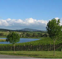 Yarrawood Estate - Accommodation Tasmania