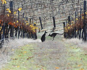  Accommodation Tasmania