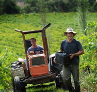 Kellybrook Winery  Kelly Brothers Cider - Accommodation Tasmania