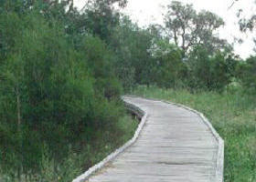 Shepherds Bush - Accommodation Tasmania 0