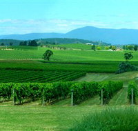 Acacia Ridge Vineyard - Accommodation Tasmania