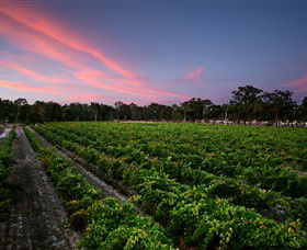 Amherst Winery - Accommodation Tasmania 0