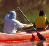 Yarra Bend Park - Accommodation Tasmania