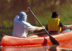 Yarra Bend Park - Accommodation Tasmania 0